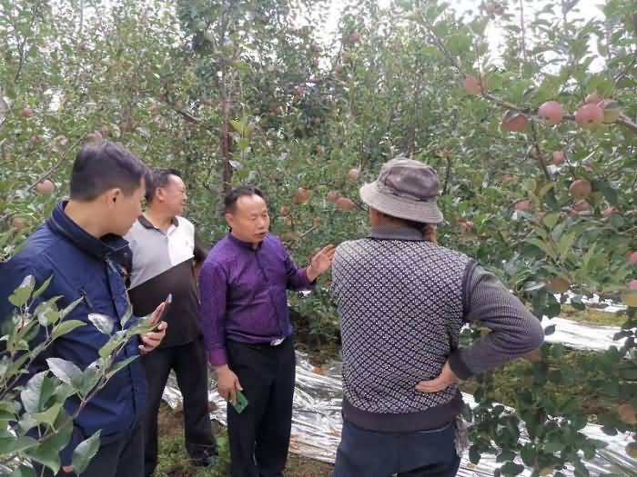 微信圖片_20190920120151.jpg 微信圖片_20190920120151.jpg