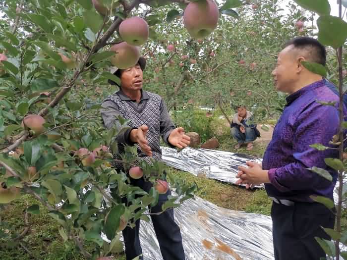 微信圖片_20190920120143.jpg 微信圖片_20190920120143.jpg