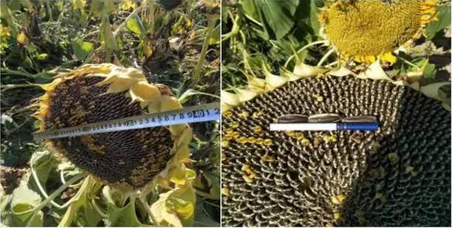 微信圖片_20221107215922.jpg 微信圖片_20221107215922.jpg