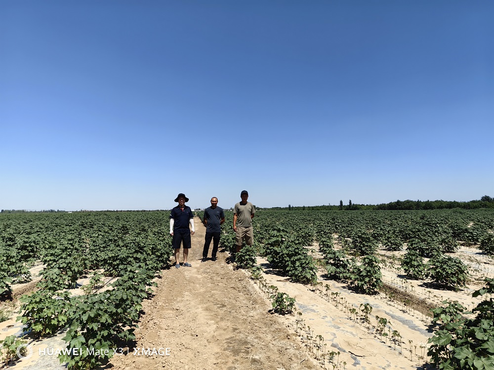 微信圖片_20240812141019.jpg 微信圖片_20240812141019.jpg