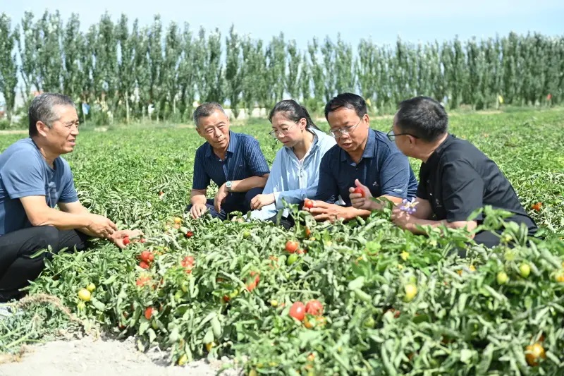 f694033cb58b4875b12a2babeec24b17.jpg f694033cb58b4875b12a2babeec24b17.jpg