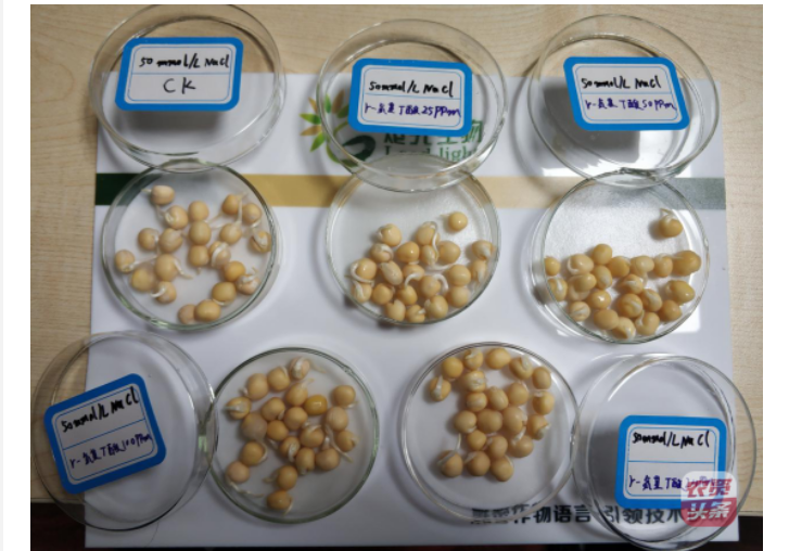 微信圖片_20250510203623.png 微信圖片_20250510203623.png