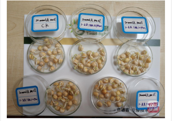 微信圖片_20250510203623.png 微信圖片_20250510203623.png